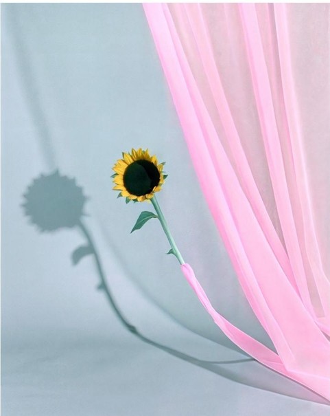 孫彥 Sun Yan